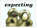 2 platypus with a paltypus egg: &ldquo;expecting&rdquo;