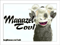 Sheep with raised arms: &ldquo;Maaazel Tov!&rdquo;