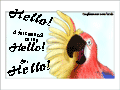 Parrot waving with his right wing: &ldquo;Hello! I just wanted to say Hello! So: Hello!&rdquo;