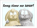 2  bunny rabbits with drooping ears: &ldquo;Long time no hEAR!&rdquo;