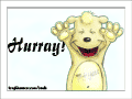 Hurray!