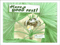 A spider lays back in a spider web hammock between palm leaves: &ldquo;Have a good rest!&rdquo;