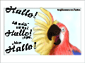 Papagei mit zum Gru&szlig; erhobenem Fl&uuml;gel: &ldquo;Hallo! Ich wollt' einfach nur Hallo sagen. Also: Hallo!&rdquo;