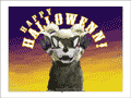 Schafsbock in Wolfsmaske: &ldquo;Happy Halloween!&rdquo;