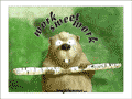 Biber, der dabei ist einen Baumstamm durchzunagen: &ldquo;Work Sweet Work!&rdquo;