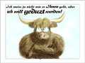 Schottischer Hochlandbulle mit verschr&auml;nkten Armen: &ldquo;Ich weiss ja nicht wie es Ihnen geht, aber ich will geduzt werden!&rdquo;