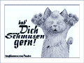 Katze: &ldquo;hab' Dich zum Schmusen gern!&rdquo;